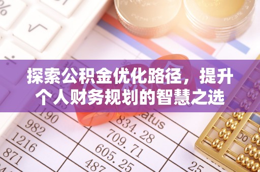 郊区探索公积金优化路径，提升个人财务规划的智慧之选