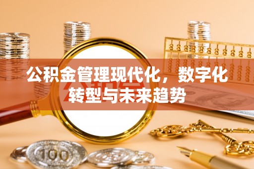郊区公积金管理现代化，数字化转型与未来趋势