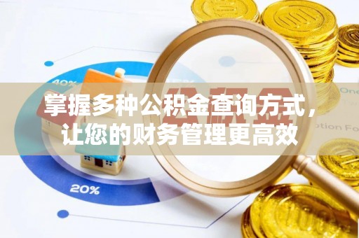 郊区掌握多种公积金查询方式，让您的财务管理更高效