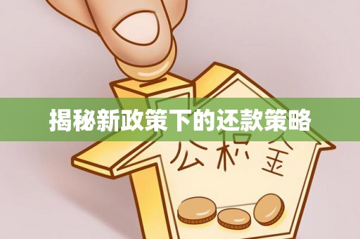 郊区揭秘新政策下的还款策略