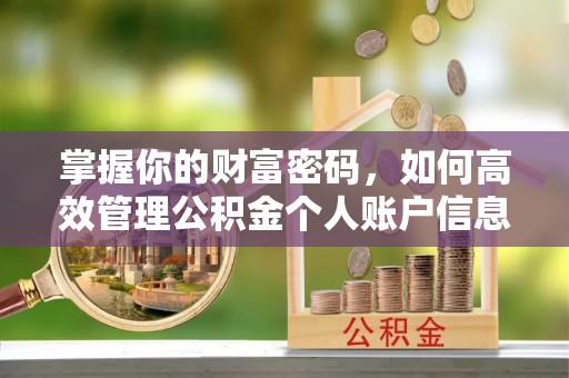 郊区掌握你的财富密码，如何高效管理公积金个人账户信息