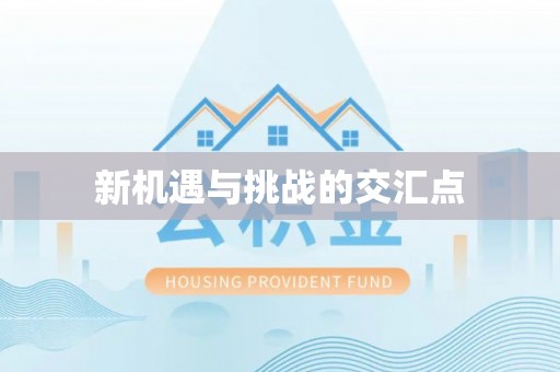 郊区新机遇与挑战的交汇点