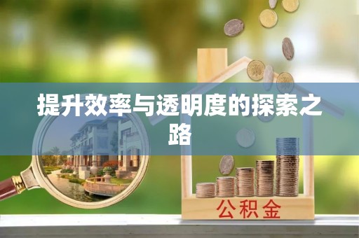 郊区提升效率与透明度的探索之路