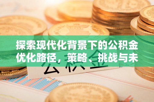 郊区探索现代化背景下的公积金优化路径，策略、挑战与未来展望