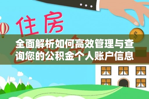 郊区全面解析如何高效管理与查询您的公积金个人账户信息