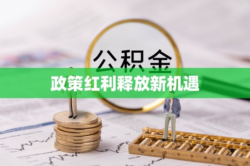 郊区政策红利释放新机遇