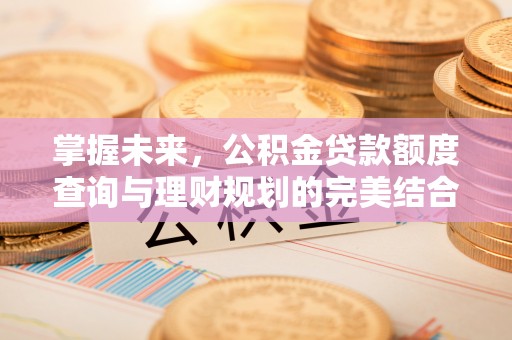 郊区掌握未来，公积金贷款额度查询与理财规划的完美结合