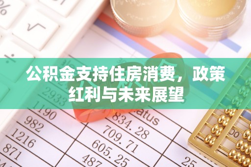 郊区公积金支持住房消费，政策红利与未来展望