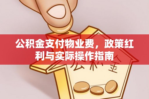 郊区公积金支付物业费，政策红利与实际操作指南