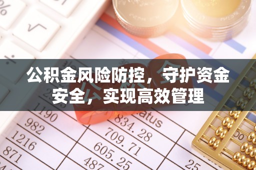 郊区公积金风险防控，守护资金安全，实现高效管理
