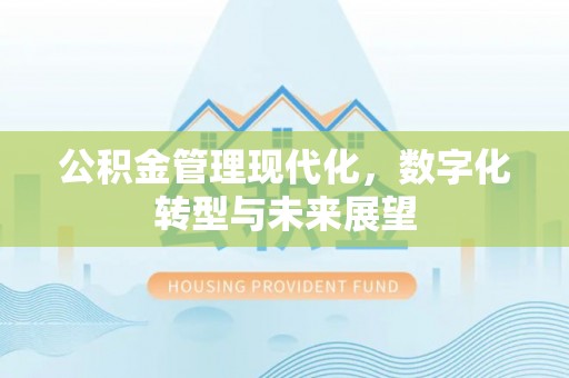 郊区公积金管理现代化，数字化转型与未来展望