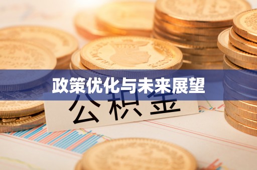 郊区政策优化与未来展望