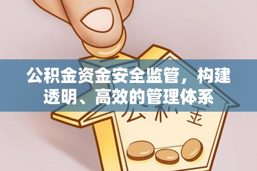 郊区公积金资金安全监管，构建透明、高效的管理体系