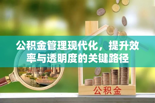 郊区公积金管理现代化，提升效率与透明度的关键路径