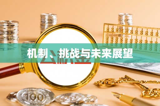 郊区机制、挑战与未来展望