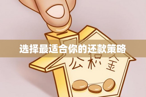 郊区选择最适合你的还款策略