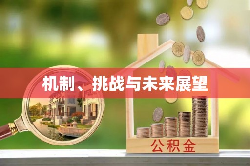 郊区机制、挑战与未来展望